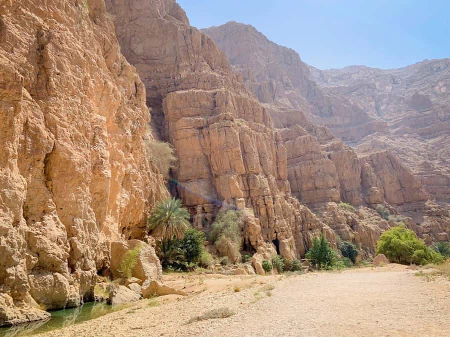 From Muscat: Wadi Shab & Sinkhole Private Tour & Free Lunch - Is $128 per person good value?