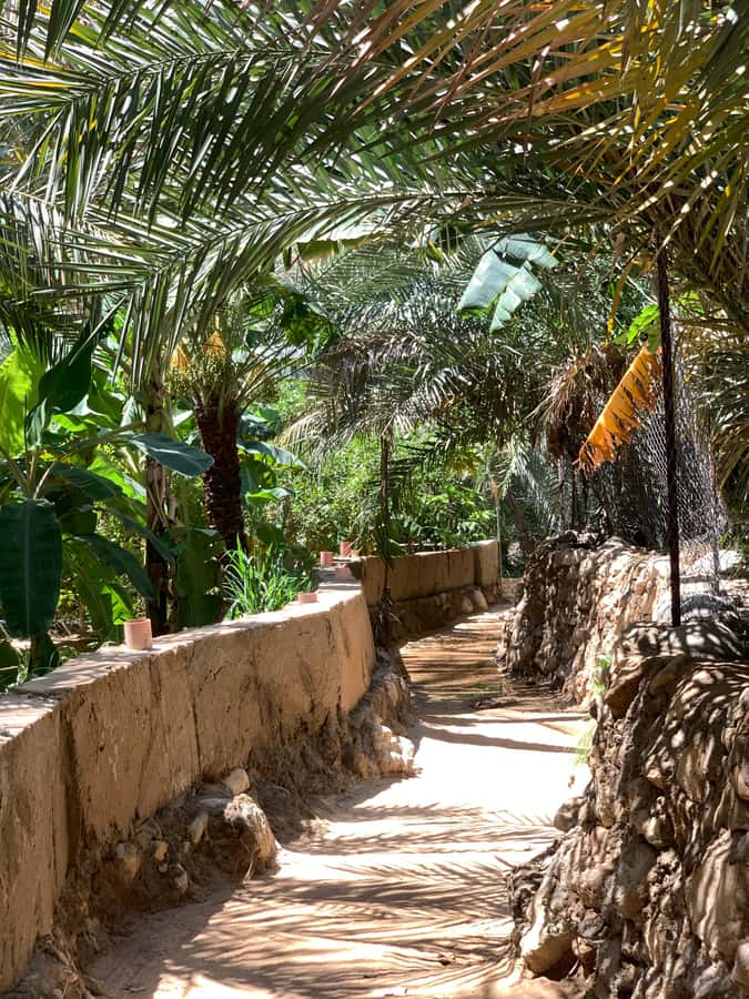 From Muscat: Wadi Shab & Sinkhole Private Tour & Free Lunch - Swimming through the cave to the waterfall