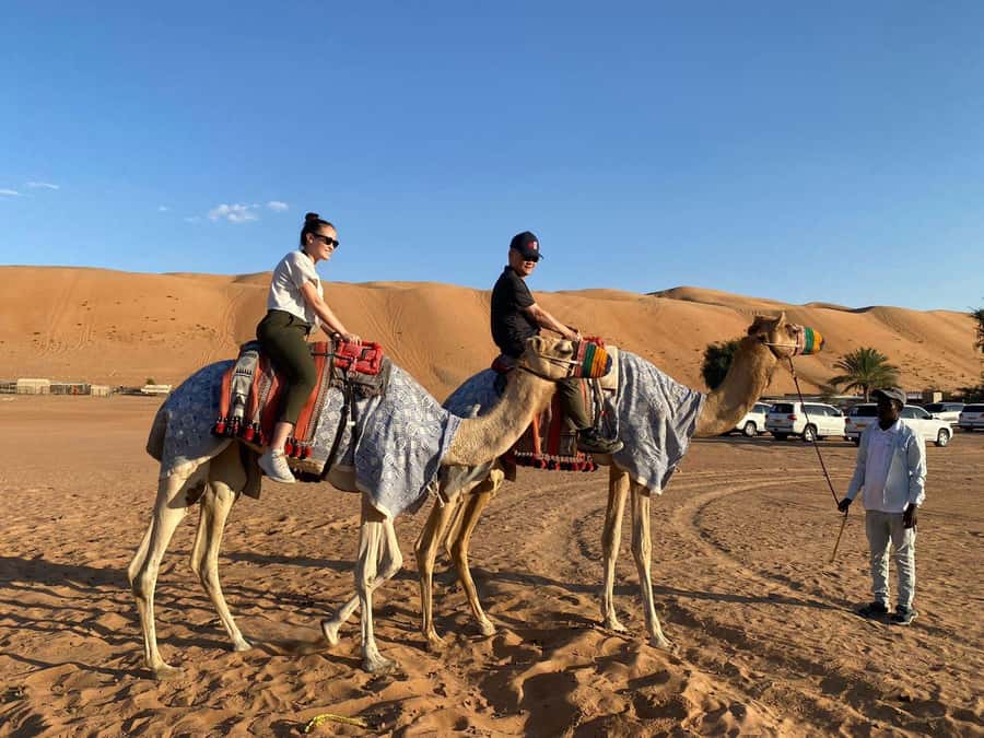 From Muscat: Wahiba Sands Sunset with Desert Camp Dinner - A short burst of dune bashing