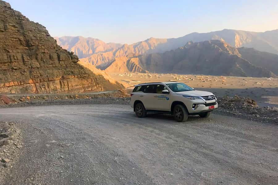 From Ras Al Khaima : Dolphin Watching and Jabal Harim Safari - Snorkeling and swimming near Telegraph Island