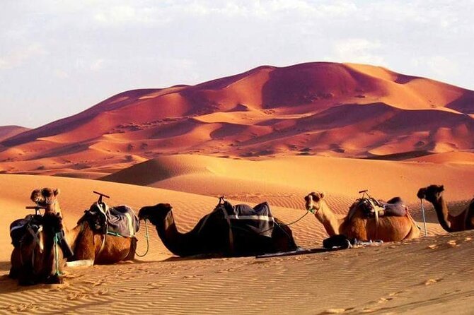 Full-Day Desert Safari Jeep Tour in Ash Sharqiyah Governorate - Passing through Bidiyah on the way back