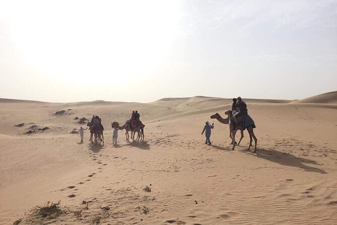 Full-Day Desert Safari Jeep Tour in Ash Sharqiyah Governorate - Guides can shape the whole day