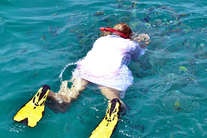 Full Day Dhow Cruise to Khor Sham with lunch & Snorkeling (Shore excursions) - Starting at 9:30 a.m. in Khasab