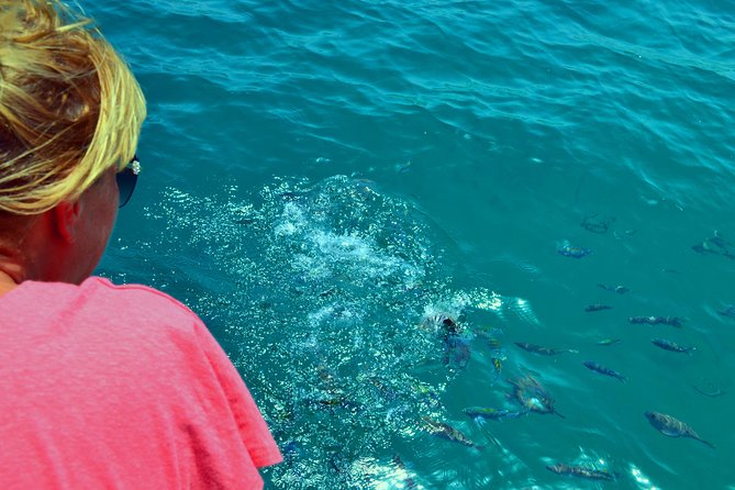 Full Day Dhow Cruise to Khor Sham with lunch & Snorkeling (Shore excursions) - Entering Khor Sham and watching for dolphins