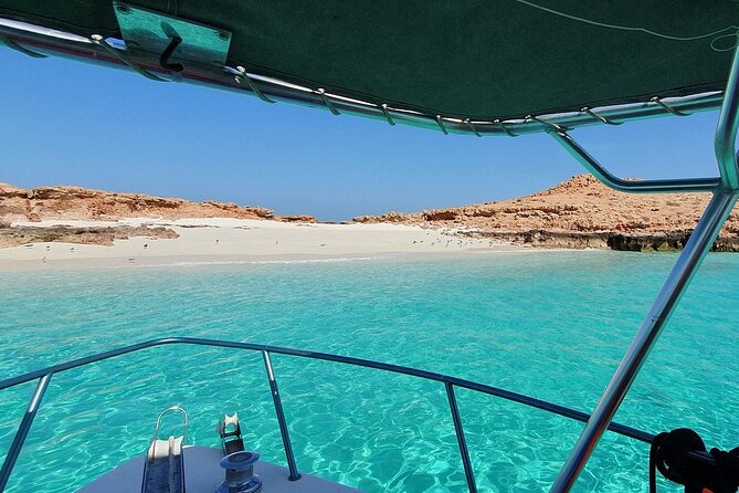 Full Day Dimaniyat Island Excursion - A white sand beach with time to slow down