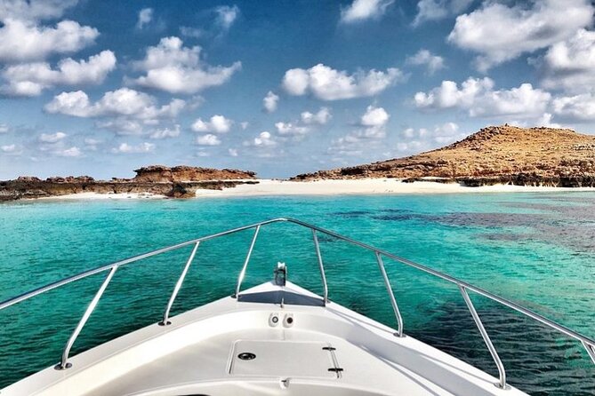 Full Day Dimaniyat Island Excursion - How the $145 price makes sense