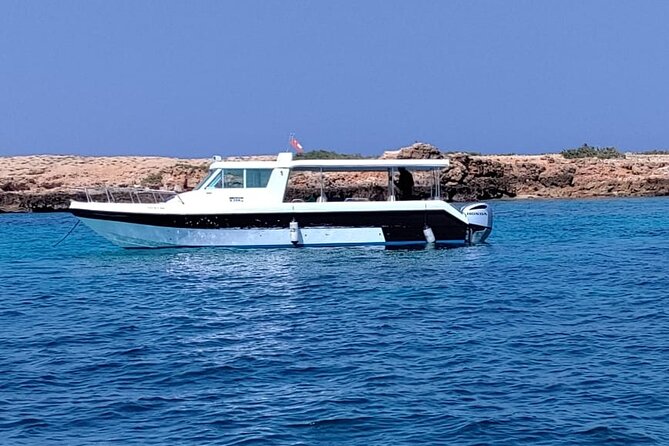 Full Day Dimaniyat Island Excursion - Who will enjoy this island day most