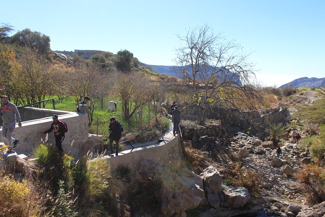 Full-Day Guided Tour to Jebel Akhdar - What the guide adds to the day