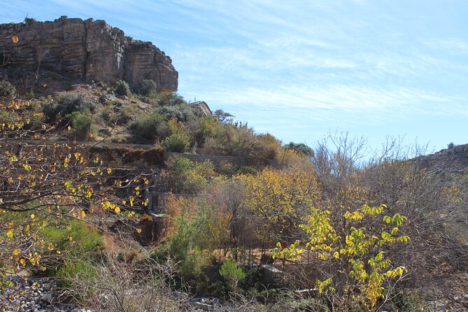 Full-Day Guided Tour to Jebel Akhdar - Is $202 per person fair value?