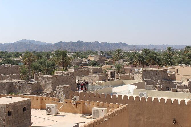 Full Day Nizwa & Jebel Akhdar Guided Tour - The private vehicle and guide make the long day easier