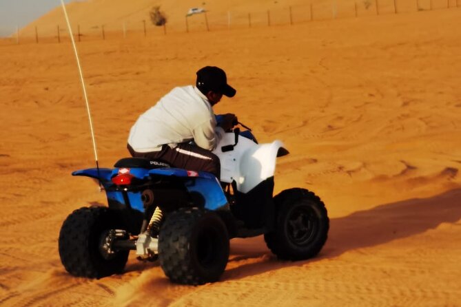 Full Day Private Desert Adventure - What the $300 Price Really Buys