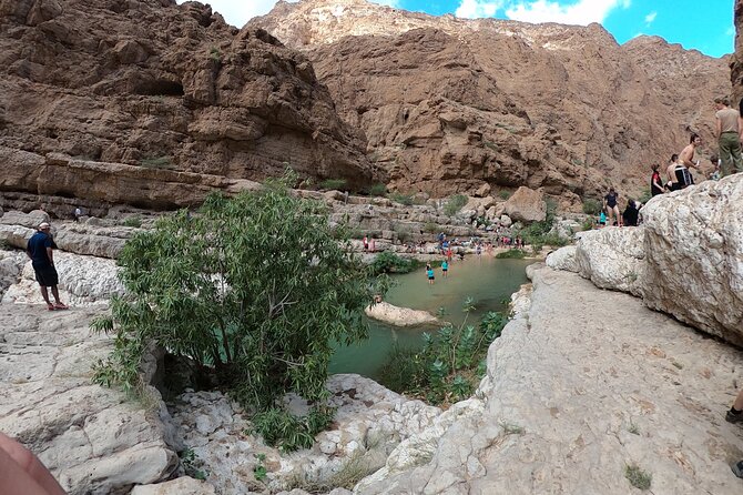 Full-day Private Guided Wadi Shab Tour in Oman - What the guide service adds