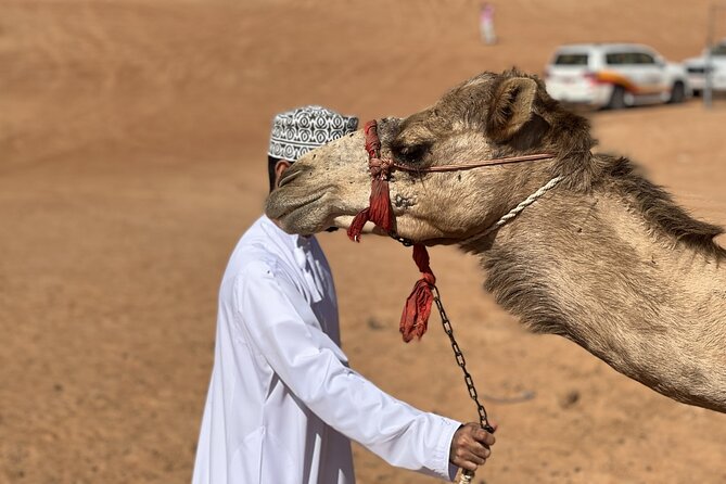 Full-Day Private Tour of Wahiba Sands Desert and Wadi Bani Khalid - Wadi Bani Khalid brings a welcome change
