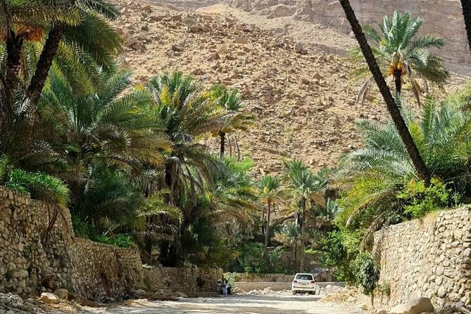 Full-Day Private Tour of Wahiba Sands Desert and Wadi Bani Khalid - Entering the golden sands of Wahiba