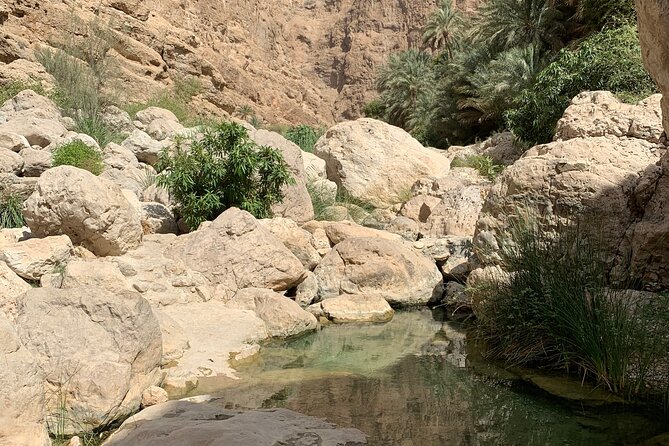Full Day Private Tour to Wadi Shab and Bimmah Sinkhole - Lunch, safety, and the guides