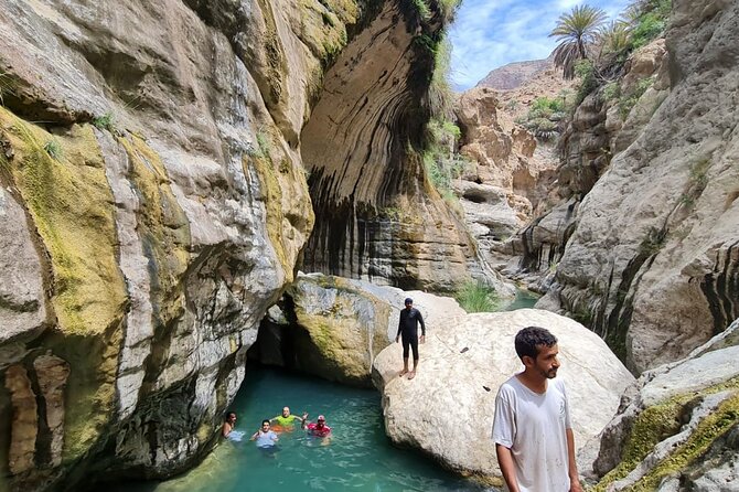 Full-Day Private Wadi Tiwi Adventure - Fins Beach and the Tiwi Coastal Stop