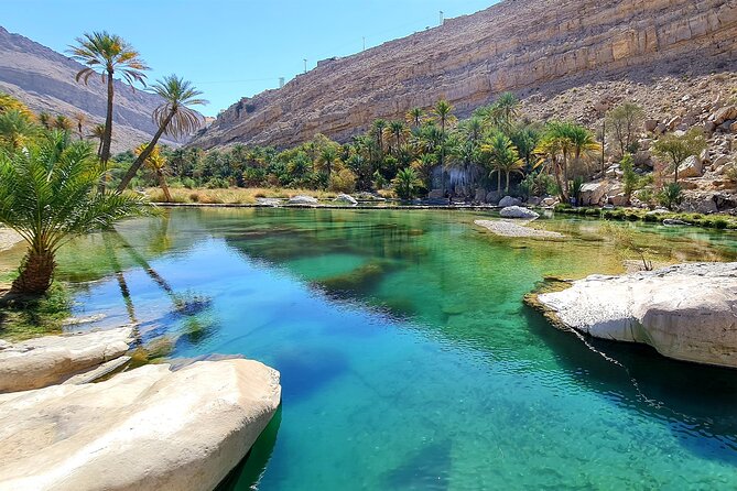 Full-Day Private Wahiba Sands Desert and Wadi Bani Khalid Tour - Crossing the Wahiba Sands by 4WD