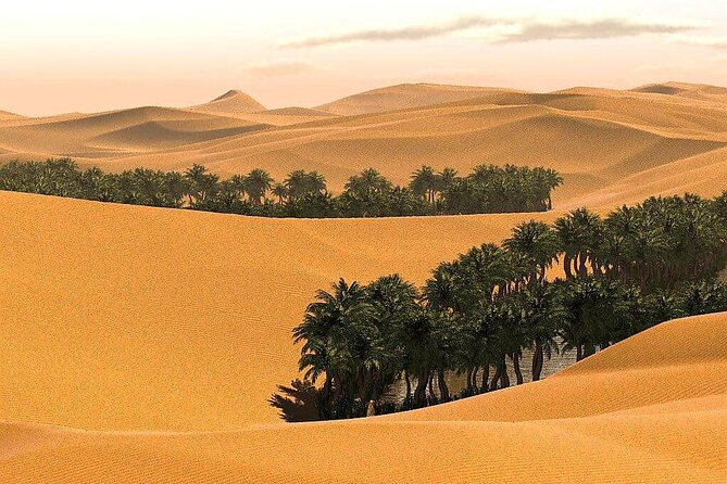 Full-Day Private Wahiba Sands Desert and Wadi Bani Khalid Tour - A Bedouin Home, Coffee, Dates, and Cultural Contact