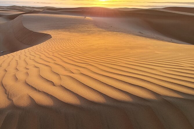 Full-Day Private Wahiba Sands Desert and Wadi Bani Khalid Tour - What the Private Guide Adds