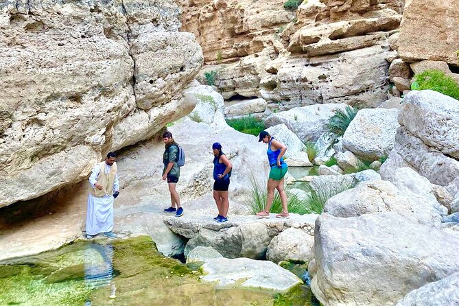 Full Day Tour in Wadi Shab - What private transport adds to the day
