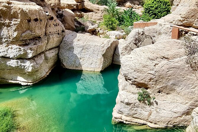 Full Day Tour in Wadi Shab - Who should book this Wadi Shab experience?