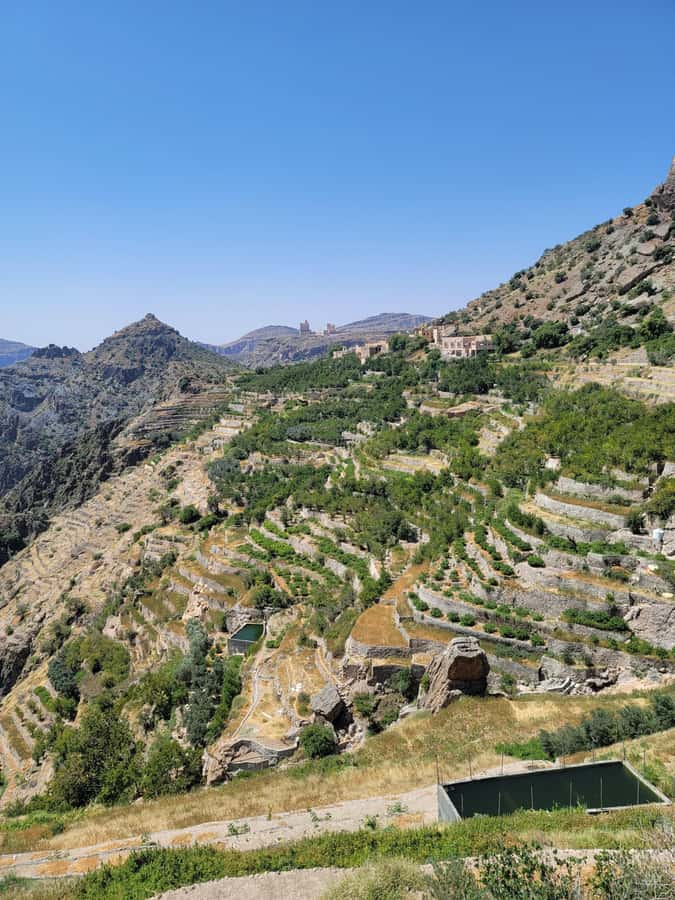 full-day trip in Jabal Akhdar with a light hike - Birkat Al Mouz: coffee, palms, and old Omani homes