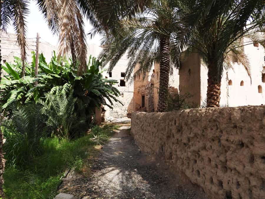 full day trip to Birkat Almouz&Nizwa souq&Fort&Falaj Daris. - Birkat Al Mouz and the first cup of Omani coffee