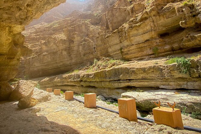 Full-Day Wadi Shab and Bimmah Sinkhole Tour - Who should book this tour?