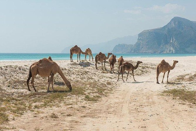 Full day west tour of Salalah - Ittin Mountain and the View over Jarziz Valley
