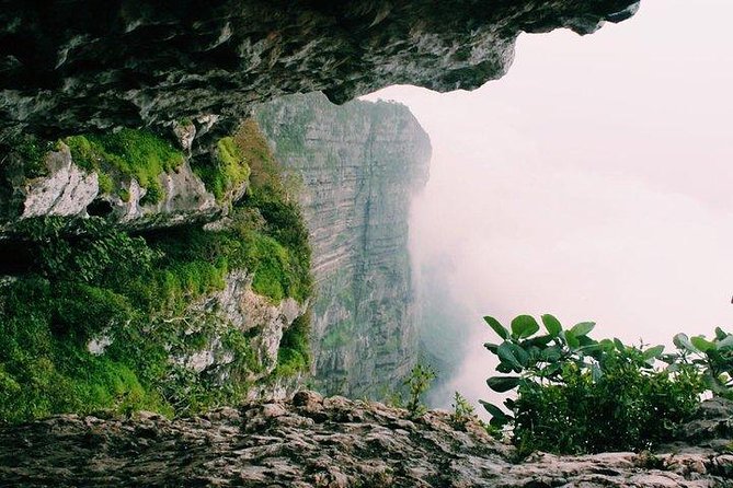 Full day west tour of Salalah - Who Should Book This West Salalah Tour?