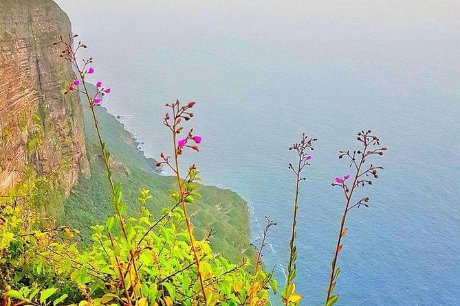 Full day west tour of Salalah - Frankincense Trees and Flower Honeybees