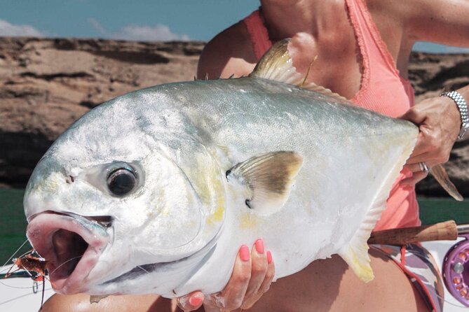 Game Fishing in Muscat - Leaving Muscat from Marina Bandar Al Rowdha
