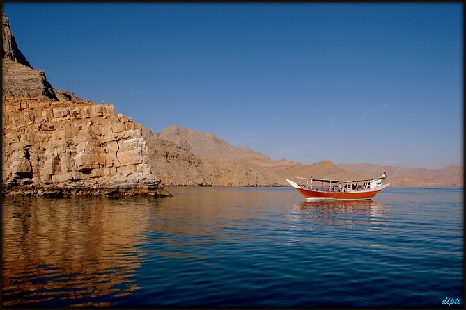 Half Day Dhow cruise to Telegraph Island (Shore excursions) - Dolphins Along the Dhow Route