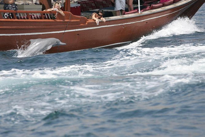 Half Day Dolphin Watching Musandam Dhow Cruise - Why This Half-Day Cruise Works Well