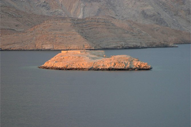 Half Day Dolphin Watching Musandam Dhow Cruise - What Is Provided on the Boat