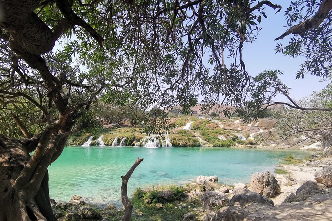 Half Day East of Dhofar with Wadi Darbat - Ain Razat, where Salalah’s water begins