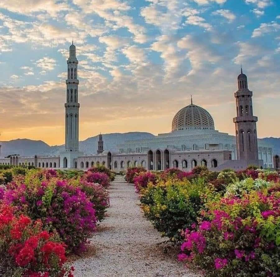Half Day Muscat City Tour - Experienced Tour - Muttrah Corniche, where the city meets the water