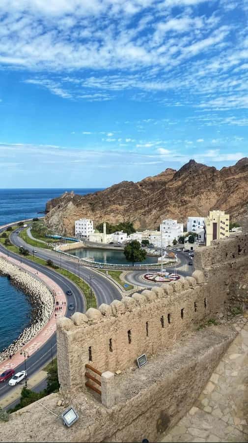 Half Day Muscat City Tour - Experienced Tour - The Sultan’s Palace and Twin Portuguese Forts