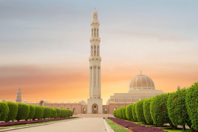 Half Day Private Muscat City Afternoon Tour - Al Jalali and Mirani forts at the harbor