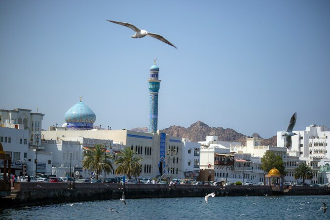 Half-Day Private Muscat City Tour 4 Hours - Seeing Al Alam Palace from outside