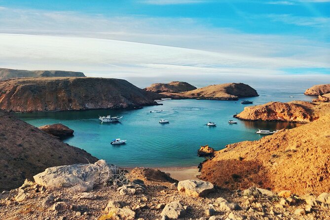Half-Day Private Muscat City Tour- with a local guide - Stop six: Mutrah Fish Market