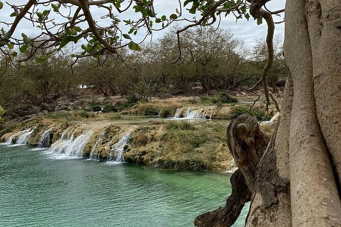 Half-Day Private Salalah East Tour - Key things to know before you book