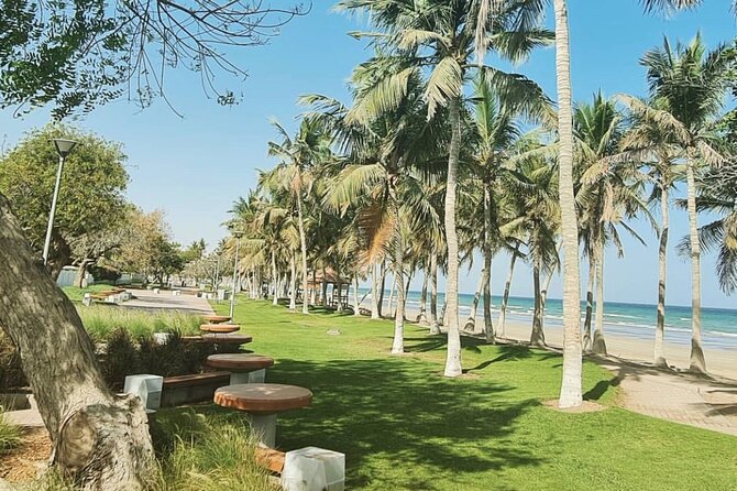 Half-Day Private Tour in Muscat City Oman - What the private guide service is really like
