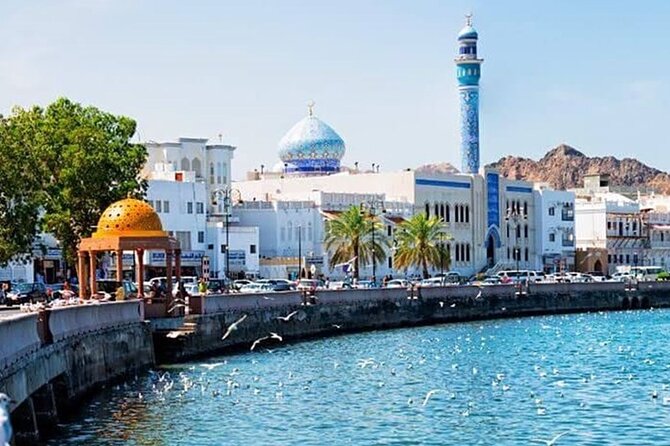 Half-Day Private Tour in Muscat City Oman - The Royal Opera House and Muscat’s civic center