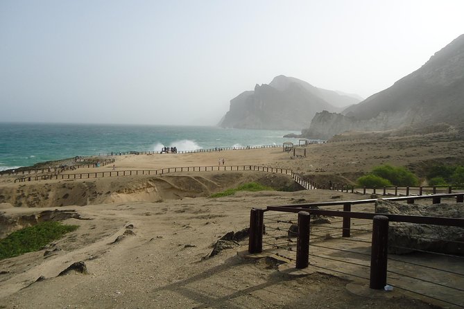 Half Day Tour of Salalah : Best of West - Frankincense Trees in Their Natural Setting