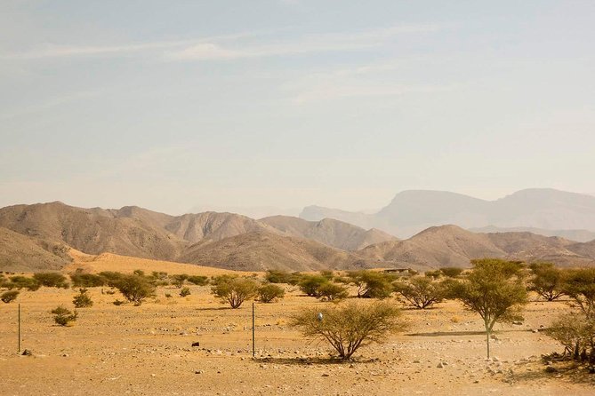Half Day Tour of Salalah : Best of West - Bird Sanctuaries Near the Road to Yemen