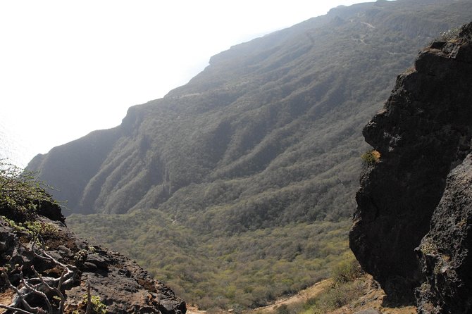 Half Day Tour of Salalah : Best of West - Is $255 Good Value for Four People?