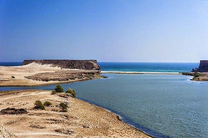 Half day tour Splendours of the East :Salalah Tours - Taqah, where daily life meets old Dhofar