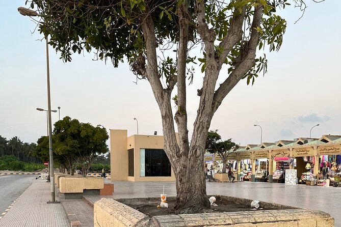 Historical Salalah City Tour - Is $104 per person fair value?