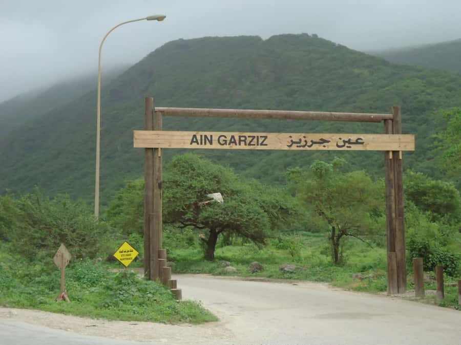 Historical Salalah City Tour with Culture, Food & Shopping - A four-hour introduction to Salalah